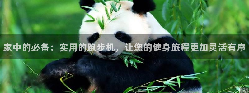 注册哈哈体育：家中的必备：实用的跑步机，让您的健身旅